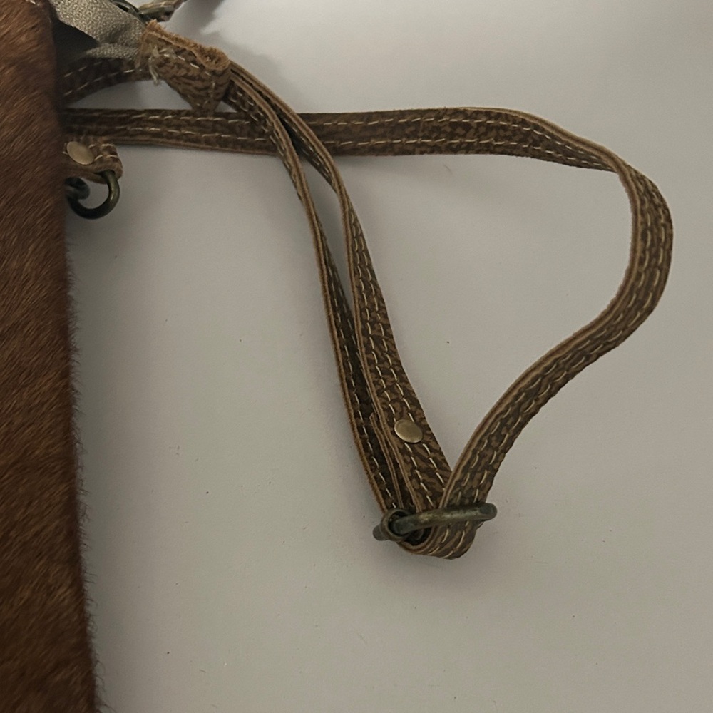 Myra Bag Brown Crossbody Bag - Picture 4 of 6